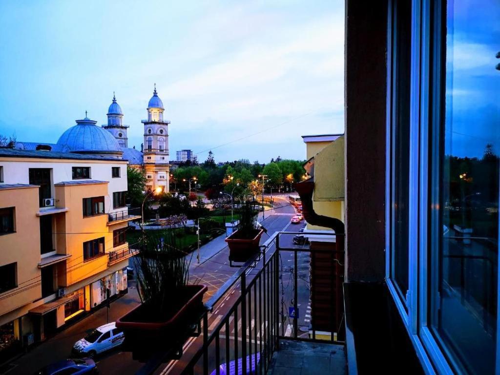 Apartament De Lux Central Satu Mare Eksteriør billede